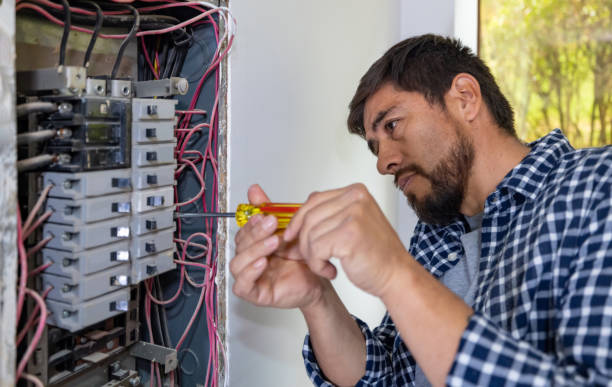 Best Electric Panel Repair  in Lampasas, TX